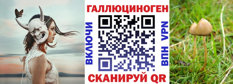 Купить закладки  Нижневартовск  Галлюциногенные грибы GOLDEN TEACHER 